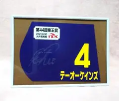 松山弘平　サイン　テーオーケインズ　帝王賞　ミニゼッケン　競馬