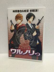 即決！DVD セル版 ワルノリっ 柿原 哲也＆蛇足 初競演！送料無料！