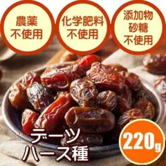 【抜け毛＆薄毛対策】デーツ　ドライ　更年期　抜け毛　薄毛　育毛　増毛　スカルプ