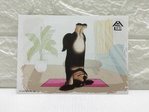 台湾限定！　即決♪　正規品！　朝隈俊男　ANIMAL LIFE　ヨガ犬　ポストカード　 1枚　♪