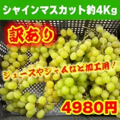 訳あり 加工用シャインマスカット 約4㎏ 山梨県笛吹市産