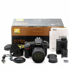 【極上品】Nikon D750 24-85レンズキット #2424