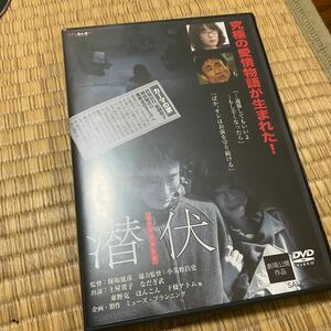 DVD 潜伏 senpuku