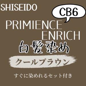 最安値　CB6 資生堂　白髪染め　ショート　メンズ　ヘアカラー剤　セット付　ナチュラル　グレー　ブラウン　グレーカラー　ヘアカラー