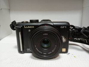 ● Panasonic LUMIX GF1 DMC-GF1