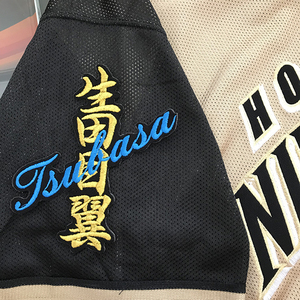 【メール便送料無料】北海道 日本ハム ファイターズ 刺繍ワッペン 生田目 ネーム 黒 /生田目翼/fighters/応援/刺繍/ユニホーム