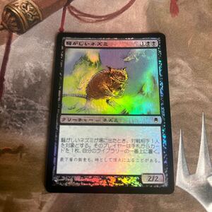 foil大量出品中 MTG 騒がしいネズミ/Chittering Rats foil 日本語版 ダークスティール DST 状態SP程度 マジック・ザ・ギャザリング 