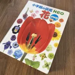 小学校の図鑑 NE0 花