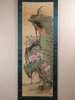【模写】日本画 村上委山「孔雀図」絹本 掛軸 花鳥 彩色 木箱 M761