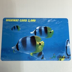 ハイウェイカード　海　魚　スダレチョウチョウウオ　簾蝶々魚　日本道路公団　使用済み