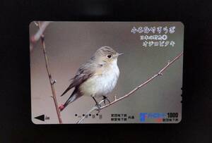 使用済 パスネット SFメトロカード 小さなやすらぎ シリーズ 日本の野鳥④ オジロビタキ 営団地下鉄 東京メトロ 東京地下鉄 使用済み