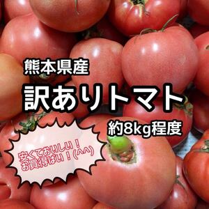 大好評！ 熊本県産 訳ありトマト 約8kg程度 ②