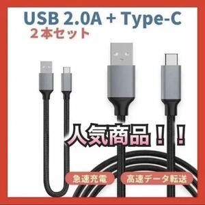 新品　充電ケーブル　Type C ケーブル　２本セット　20cm 100cm