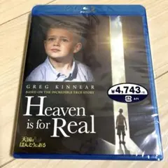 Heaven is for Real 『天国はほんとうにある』BluRay