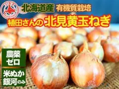 北海道産　自家採種・有機質農法「北見黄玉ねぎ」LMサイズ5kg