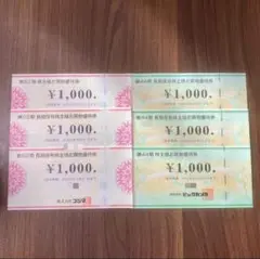 コジマ　ビックカメラ 株主優待券　6000円分