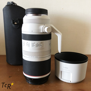 【早割予約限定】宅配レンタル3日■RF100-500mm F4.5-7.1 L IS USM■5,290円/3日