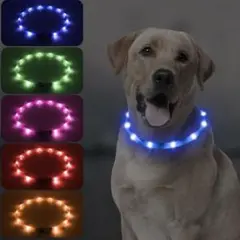 【残り1点❗️】光る犬の首輪 LED 充電式 夜犬の散歩用　犬首輪ライト