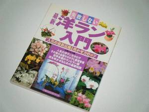 失敗しない 最新 洋ラン入門　主婦の友生活シリーズ