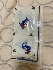 Disney ミッキーマウスのプリントがかわいいハンカチ 東京ディズニーランド購入
