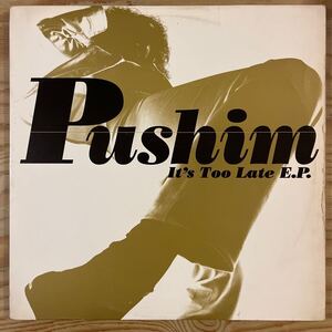 PUSHIM/プシン/IT