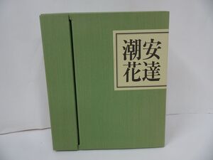 ★【安達潮花「伝」】華道・生け花・工芸・デザイン