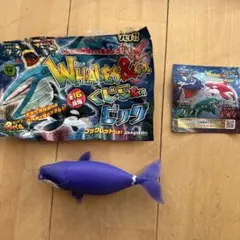 Whales & Co. くじら&CO. ビック