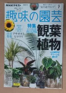 NHKテキスト【趣味の園芸】2024年 7月号