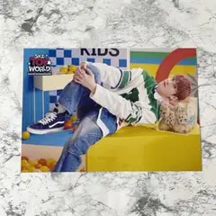 Stray Kids SKZ TOY WORLD ペンミ ラントレ バンチャン