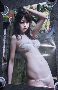 中村静香 ポスター B2 728×515cm