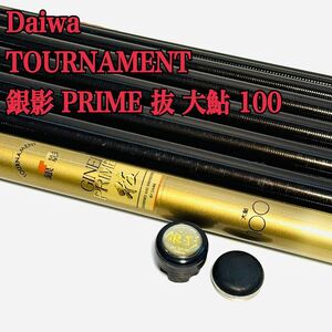 超希少! ダイワ TOURNAMENT 銀影 PRIME 抜 大鮎 100 鮎竿