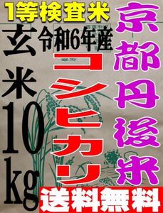 送料無料 一等検査米 令和6年度産 京都 丹後 米 コシヒカリ 玄米 10kg