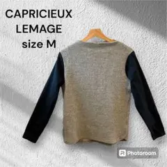 CAPRICIEUX LEMAGE 長袖シャツ　バックチャック　サイズ38