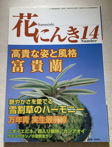 花にんき14 高貴な姿と風格　富貴蘭