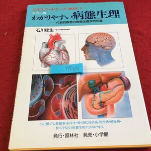 Y37-090 カラー版 わかりやすい病態生理 代表的疾患の病態生理学的知識 エキスパートナース ムック 照林社 1995年発行 脳卒中 など