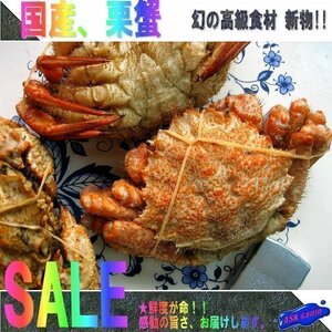 ★箱売り「栗蟹22尾位で4kg」ボイル済み調理不用-濃厚な味わいは毛蟹以上です。