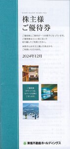 ストア出品★東急不動産HD★株主様ご優待券冊子 （5000株以上保有）★株主優待★ホテルハーベスト