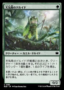 MTG ■緑/日本語版■(195)《天気雨のドルイド/Sunshower Druid》★FOIL★ ブルームバロウ BLB 緑C