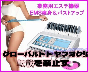 人気推薦 エステ業務用EMS痩身マシン ボディ痩身＆バストアップ育乳 新品 美容機器