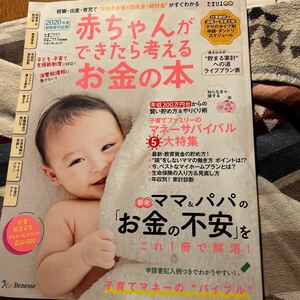 赤ちゃんができたら考えるお金の本 2020年度新制度対応版