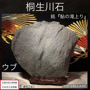 【年始初売り】水石 盆栽 桐生川石 銘『鮎の滝上り』横31×高29×奥行7(cm)7.35kg 骨董盆石古美術鑑賞石観賞石太湖石 6241