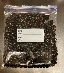 農薬不使用 黒ムクナ豆 10kg