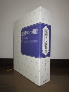 全2巻揃い　原種ラン図鑑　解説編　写真編　唐澤耕司　日本放送出版協会　62,000円　角に凹みあり　使用感なく状態良好