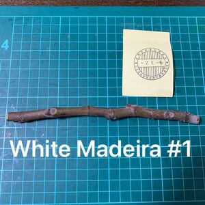 White Madeira #1穂木　② イチジク穂木 いちじく穂木