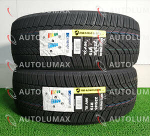 225/45R19 96V XL ROADMARCH Winter Xpro 888 新品 スタッドレスタイヤ 2本セット 2023年製 送料無料 225/45/19