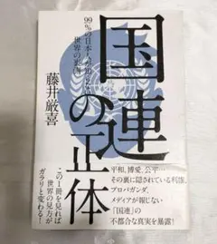 国連の正体 藤井厳喜 著