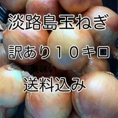 淡路島玉ねぎ訳あり10kg美味い