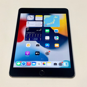 充電76回 バッテリー100% ★ iPad mini 4 7.9インチ 32GB グレイ Wi-Fi ★★ 新品同様 強化ガラス ★★