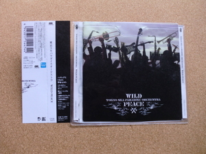 ＊【CD】東京スカパラダイスオーケストラ／WILD PEACE（CTCR14474）（日本盤）