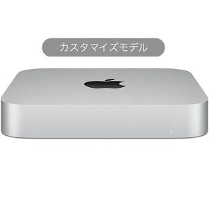 【新品未使用品】Apple / Mac mini Apple M1チップ Z12N000BN (8コアCPU/8コアGPU）/SSD 256GB/メモリ 16GB/カスタマイズモデル